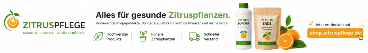 Mediterrane Pflanzen mit Spezialdünger stärken