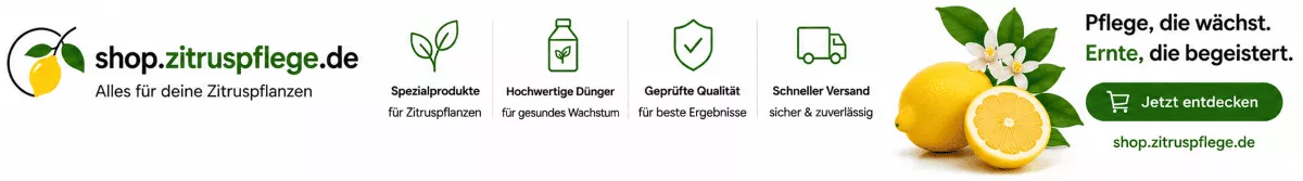 Zitruspflanzen für sonnige Standorte vorbereiten