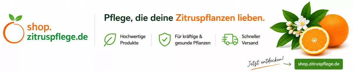 Professionelle Zitruspflege für kräftiges Wachstum