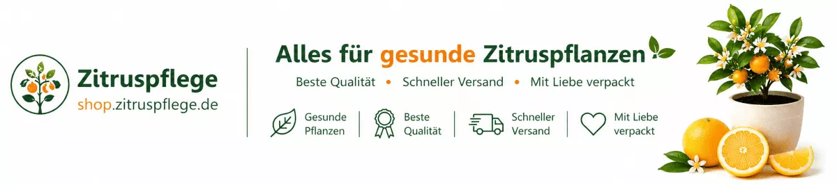 Pflegebedarf für Zitrusbäume im Kübel