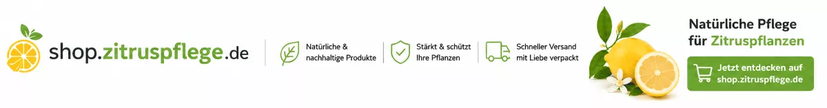 Zitronenpflanzen mit mediterraner Pflege verwöhnen