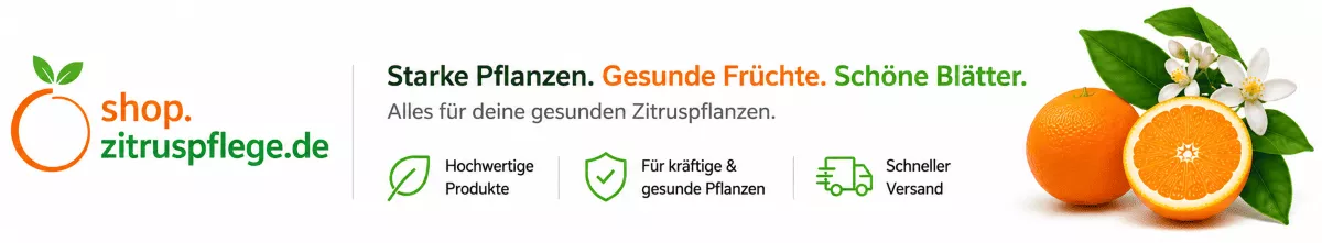Nährstoffversorgung für blühende Zitruspflanzen