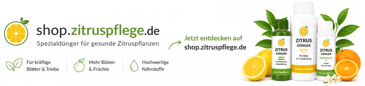 Zitrusbäume mit passender Pflanzenerde versorgen