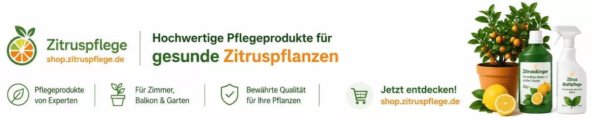 Orangenbäume mit ausgewogener Ernährung pflegen