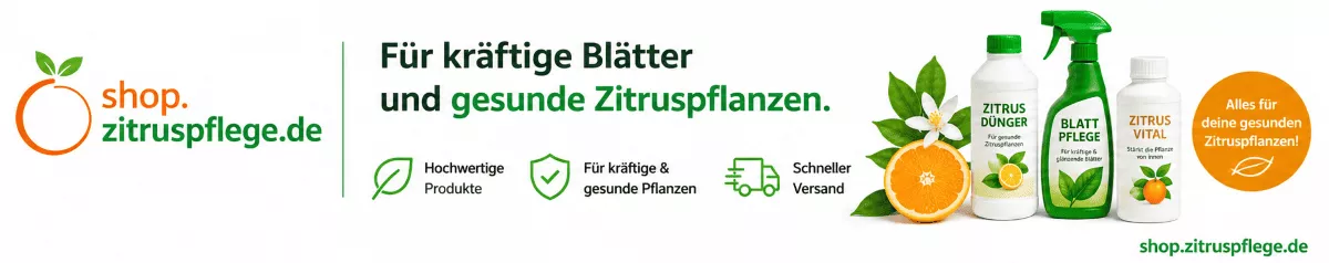 Zitruspflege für eine kräftige Krone