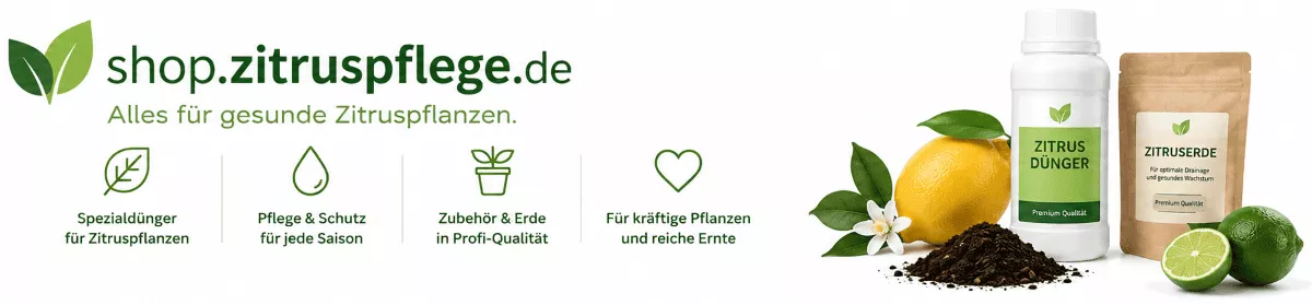 Zitrusdünger für eine kräftige Pflanzenentwicklung