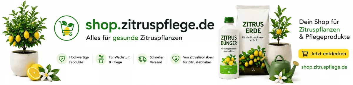 Mediterrane Pflanzenerde für Zitrusbäume