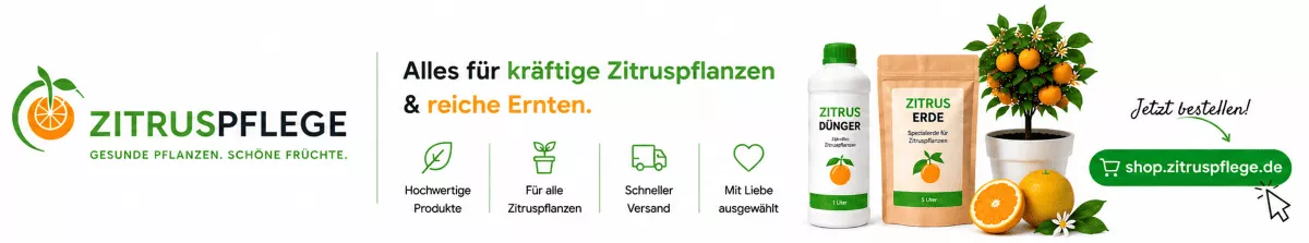 Pflegeprodukte für mediterrane Kübelpflanzen