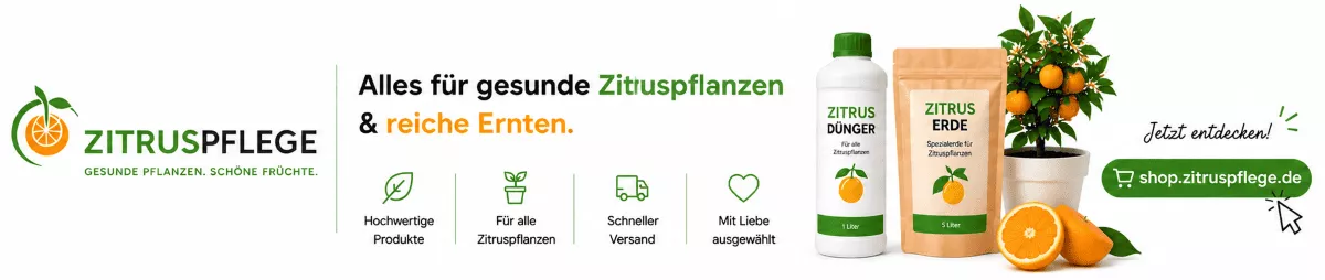 Zitruspflanzen mit natürlicher Pflanzennahrung stärken