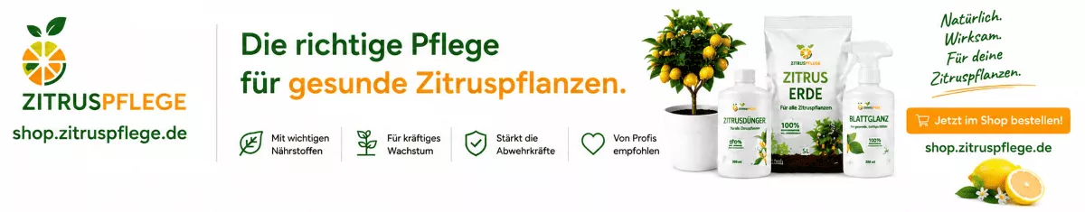 Spezialdünger für Zitronen- und Orangenbäume