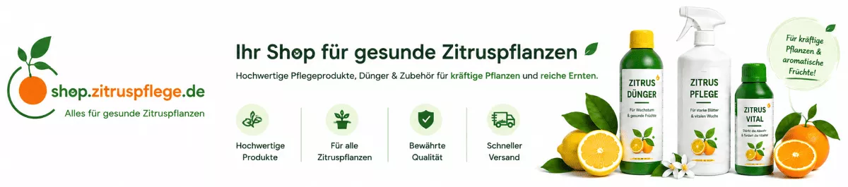 Zitruspflanzen mit professionellen Produkten pflegen