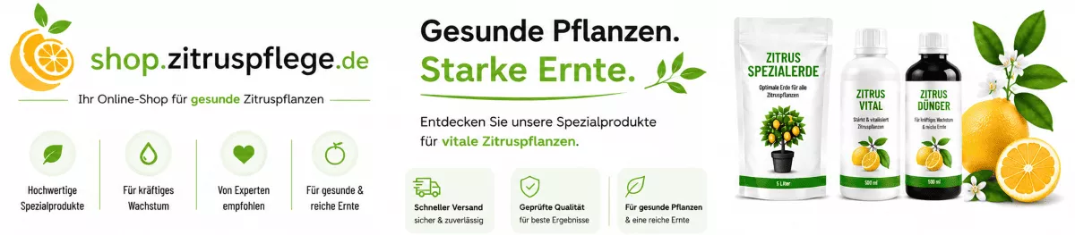 Zitronenbaum Erde für mediterrane Pflanzen