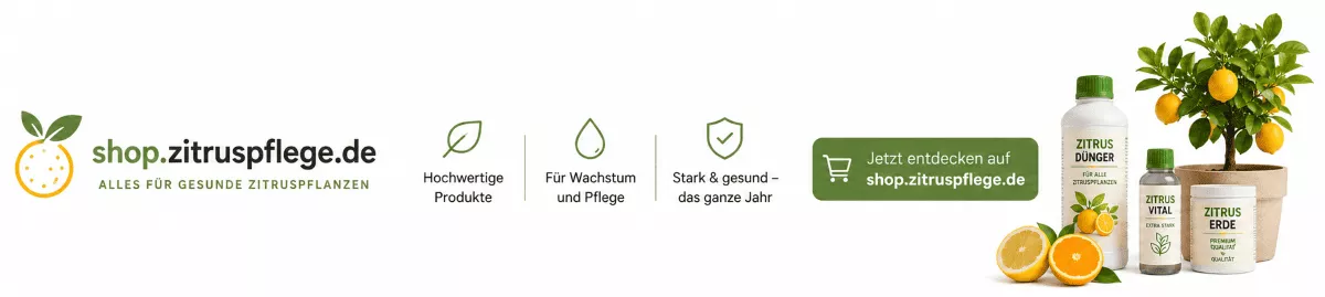 Optimale Düngung für Zitrusgewächse im Kübel