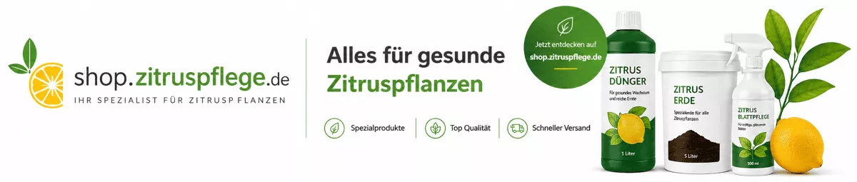 Limettenpflanzen mit Spezialdünger unterstützen