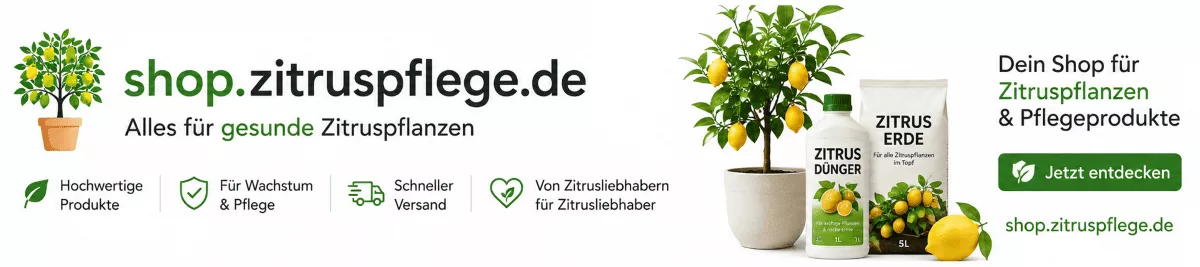 Zitrusbäume mit mediterraner Erde einpflanzen