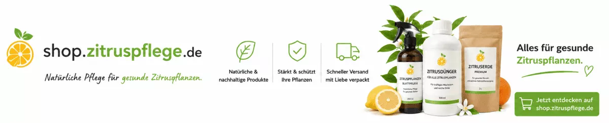 Zitronenbaum Nährstoffe für kräftiges Wachstum