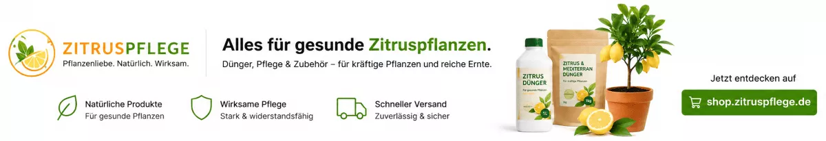 Zitrusdünger für eine üppige Blütenbildung