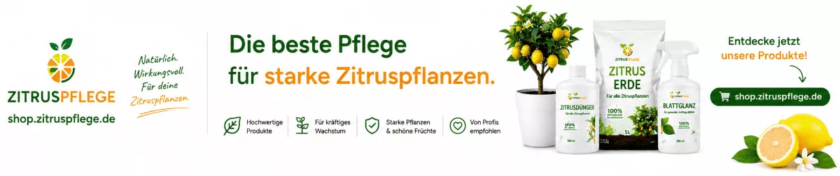 Zitrusbäume mit ausgewählter Pflanzennahrung versorgen
