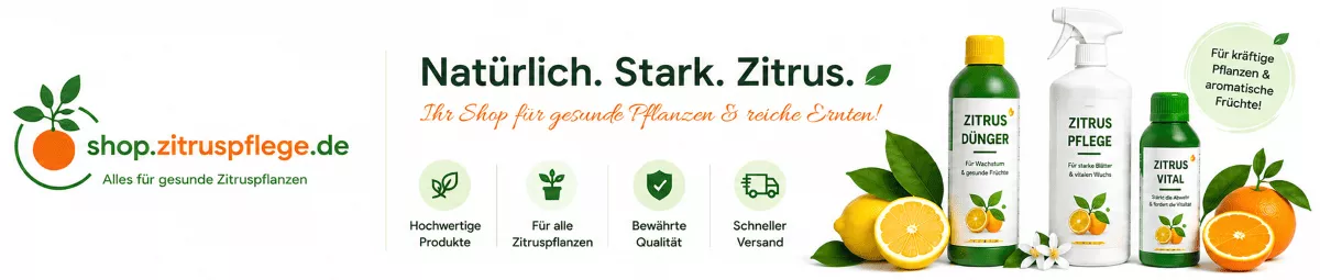 Pflanzenpflege für Zitronen- und Limettenbäume