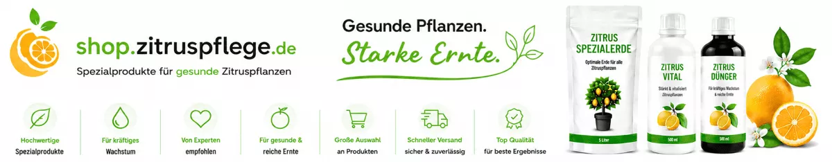 Zitruspflanzen mit Spezialnährstoffen versorgen