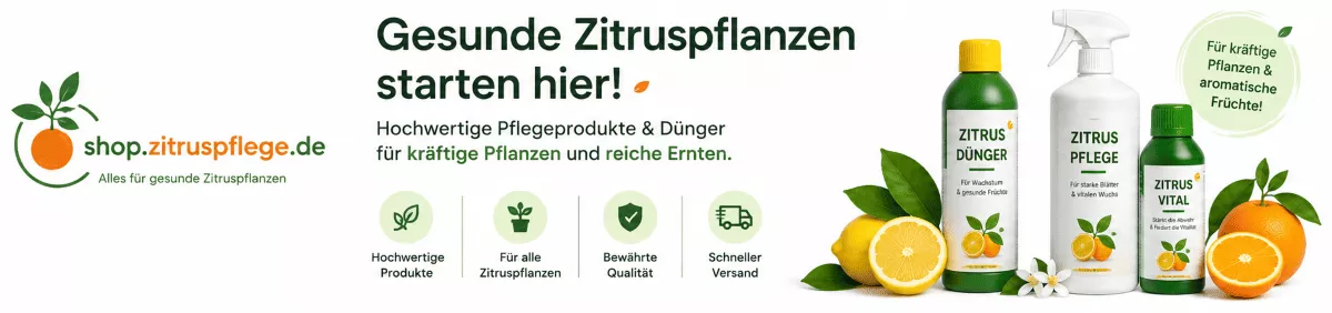 Zitruserde für gesunde Wurzeln und kräftige Pflanzen