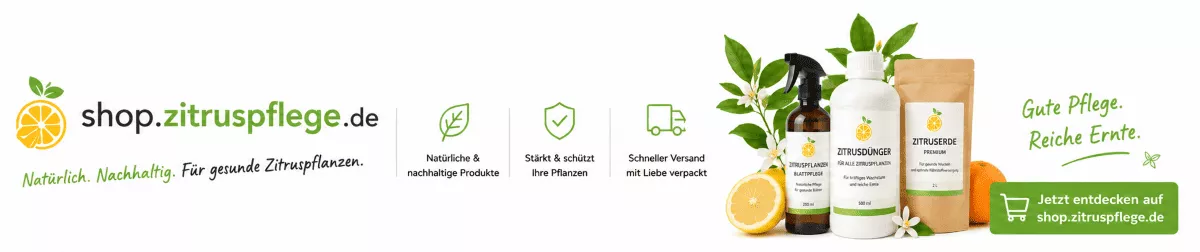 Orangenbaum Pflege mit passenden Nährstoffen