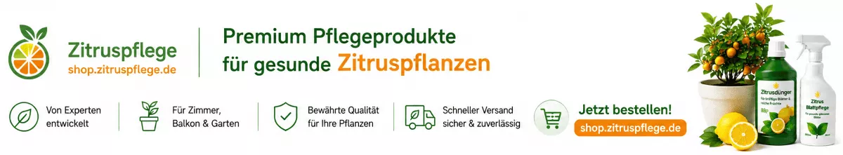 Zitruspflanzen für kräftige Triebe und Blätter