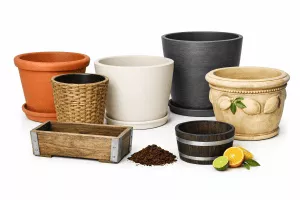 Töpfe & Pflanzgefäße Produkte